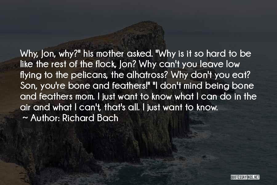Richard Bach Quotes: Why, Jon, Why? His Mother Asked. Why Is It So Hard To Be Like The Rest Of The Flock, Jon?
