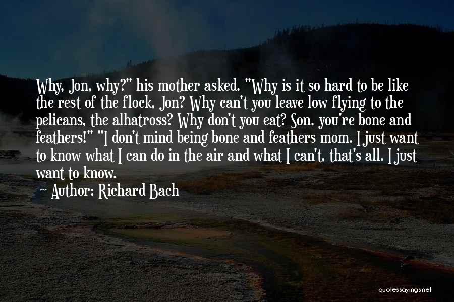 Richard Bach Quotes: Why, Jon, Why? His Mother Asked. Why Is It So Hard To Be Like The Rest Of The Flock, Jon?