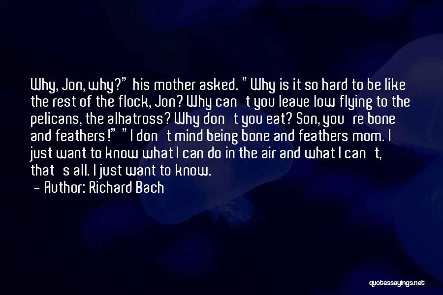 Richard Bach Quotes: Why, Jon, Why? His Mother Asked. Why Is It So Hard To Be Like The Rest Of The Flock, Jon?