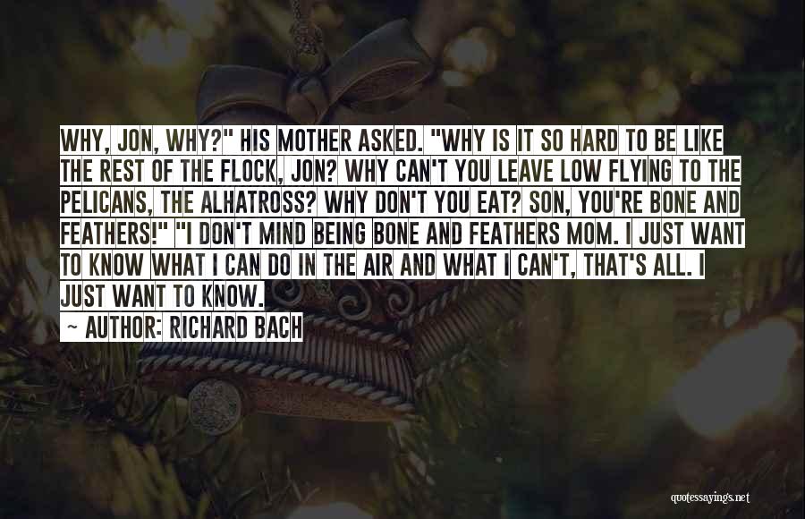 Richard Bach Quotes: Why, Jon, Why? His Mother Asked. Why Is It So Hard To Be Like The Rest Of The Flock, Jon?