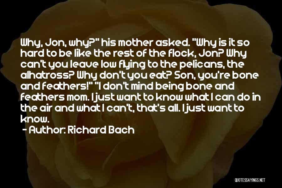 Richard Bach Quotes: Why, Jon, Why? His Mother Asked. Why Is It So Hard To Be Like The Rest Of The Flock, Jon?