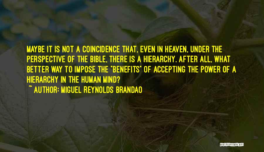 Miguel Reynolds Brandao Quotes: Maybe It Is Not A Coincidence That, Even In Heaven, Under The Perspective Of The Bible, There Is A Hierarchy.