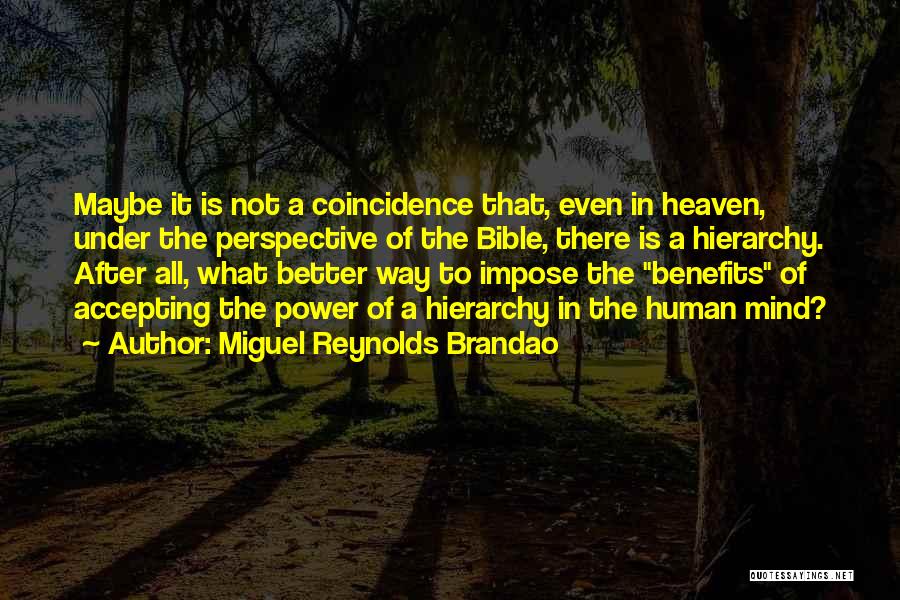 Miguel Reynolds Brandao Quotes: Maybe It Is Not A Coincidence That, Even In Heaven, Under The Perspective Of The Bible, There Is A Hierarchy.