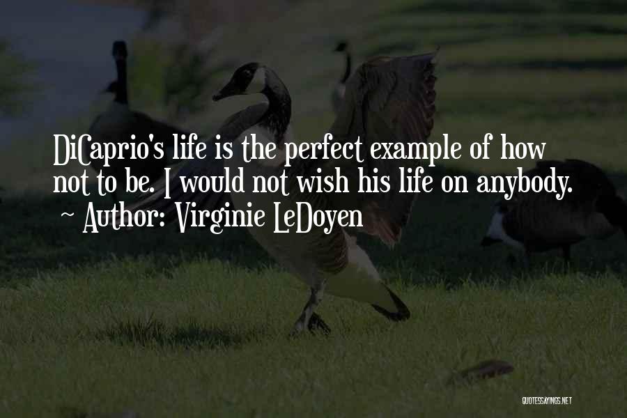 Virginie LeDoyen Quotes: Dicaprio's Life Is The Perfect Example Of How Not To Be. I Would Not Wish His Life On Anybody.