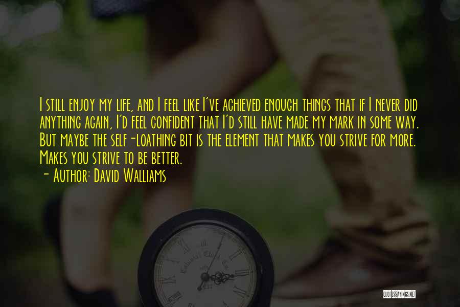 David Walliams Quotes: I Still Enjoy My Life, And I Feel Like I've Achieved Enough Things That If I Never Did Anything Again,