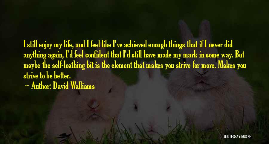 David Walliams Quotes: I Still Enjoy My Life, And I Feel Like I've Achieved Enough Things That If I Never Did Anything Again,