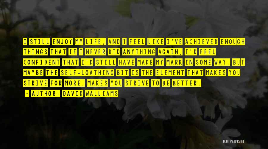David Walliams Quotes: I Still Enjoy My Life, And I Feel Like I've Achieved Enough Things That If I Never Did Anything Again,