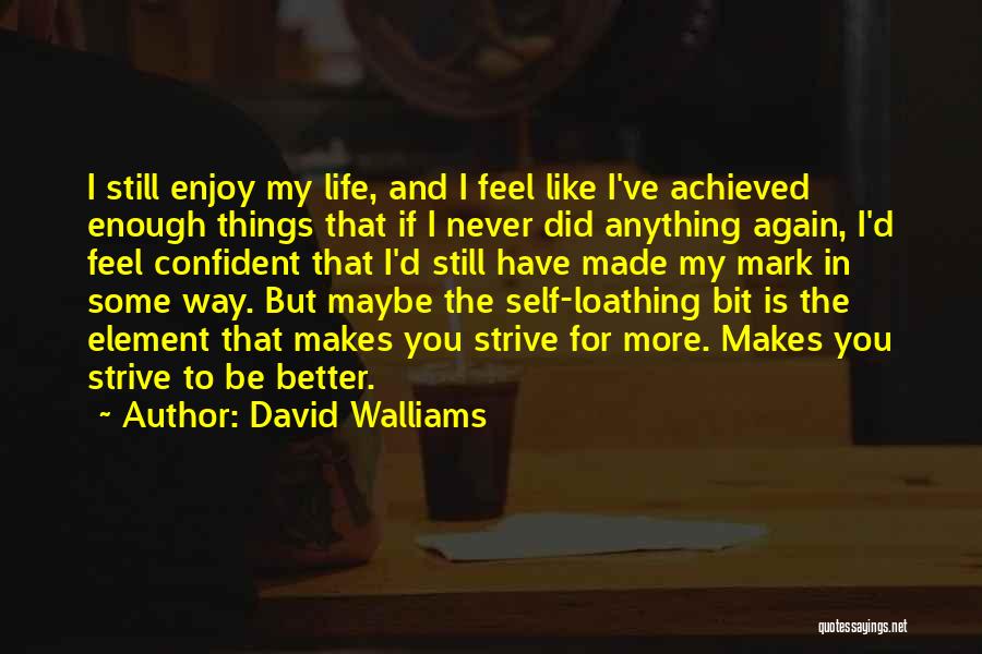 David Walliams Quotes: I Still Enjoy My Life, And I Feel Like I've Achieved Enough Things That If I Never Did Anything Again,