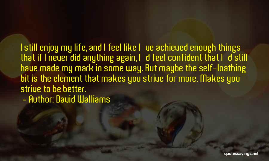 David Walliams Quotes: I Still Enjoy My Life, And I Feel Like I've Achieved Enough Things That If I Never Did Anything Again,