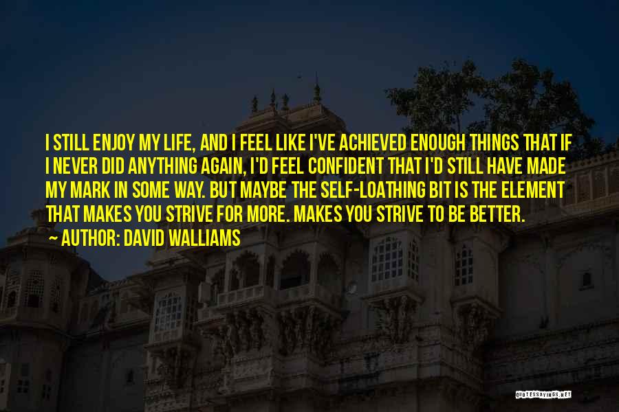 David Walliams Quotes: I Still Enjoy My Life, And I Feel Like I've Achieved Enough Things That If I Never Did Anything Again,