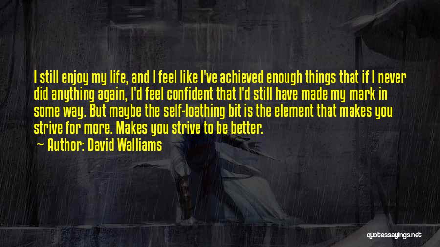 David Walliams Quotes: I Still Enjoy My Life, And I Feel Like I've Achieved Enough Things That If I Never Did Anything Again,