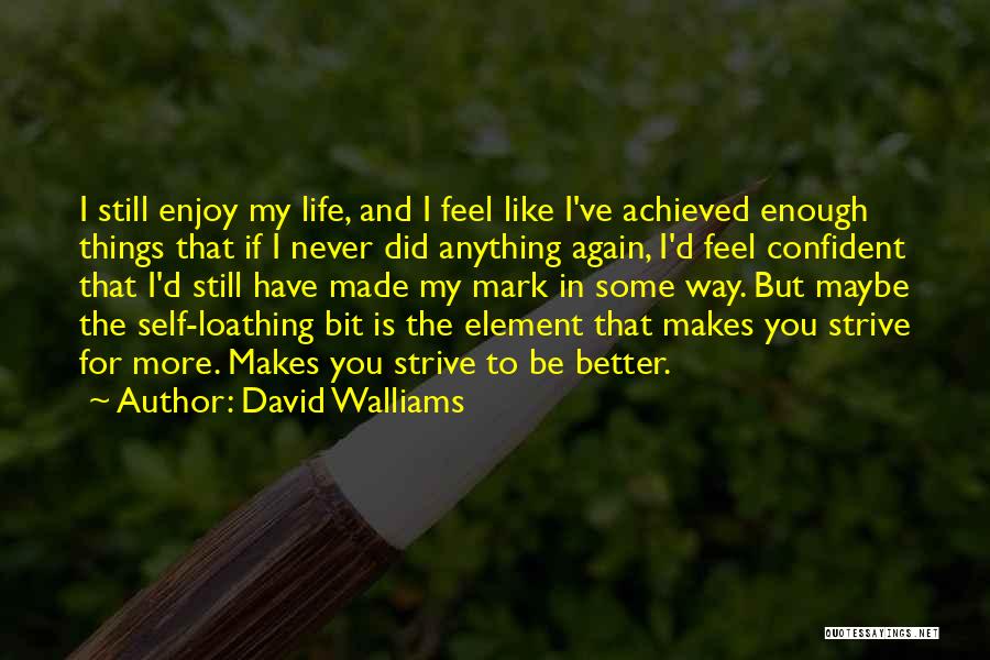 David Walliams Quotes: I Still Enjoy My Life, And I Feel Like I've Achieved Enough Things That If I Never Did Anything Again,