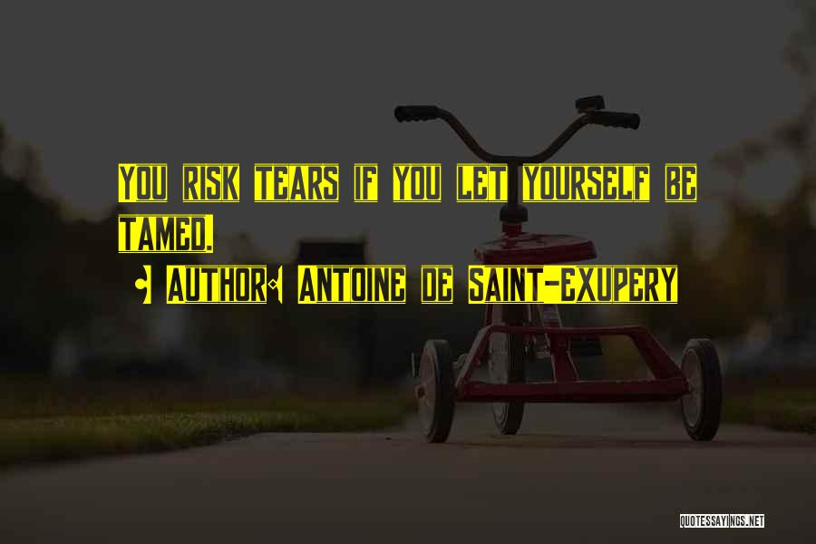 Antoine De Saint-Exupery Quotes: You Risk Tears If You Let Yourself Be Tamed.