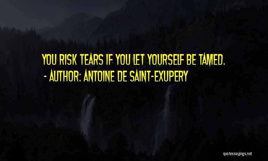 Antoine De Saint-Exupery Quotes: You Risk Tears If You Let Yourself Be Tamed.