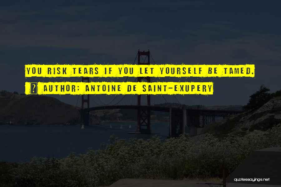 Antoine De Saint-Exupery Quotes: You Risk Tears If You Let Yourself Be Tamed.