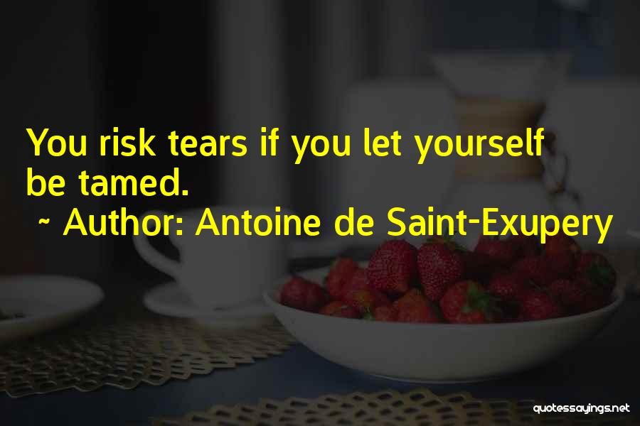 Antoine De Saint-Exupery Quotes: You Risk Tears If You Let Yourself Be Tamed.