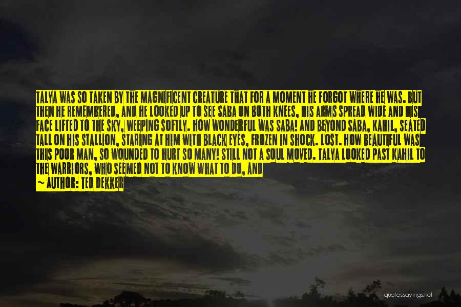 Ted Dekker Quotes: Talya Was So Taken By The Magnificent Creature That For A Moment He Forgot Where He Was. But Then He