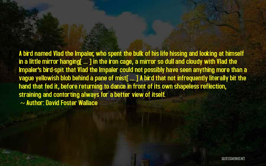 David Foster Wallace Quotes: A Bird Named Vlad The Impaler, Who Spent The Bulk Of His Life Hissing And Looking At Himself In A