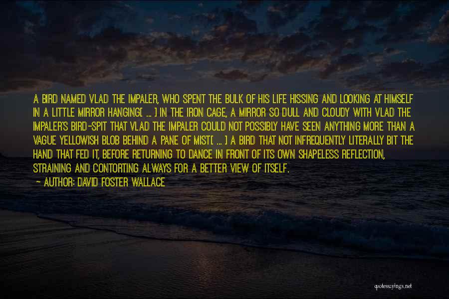 David Foster Wallace Quotes: A Bird Named Vlad The Impaler, Who Spent The Bulk Of His Life Hissing And Looking At Himself In A