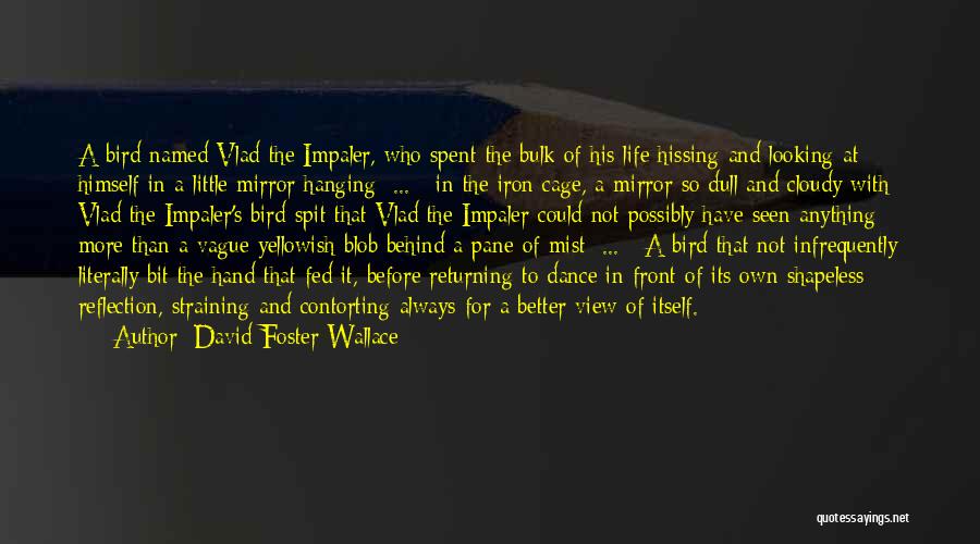 David Foster Wallace Quotes: A Bird Named Vlad The Impaler, Who Spent The Bulk Of His Life Hissing And Looking At Himself In A