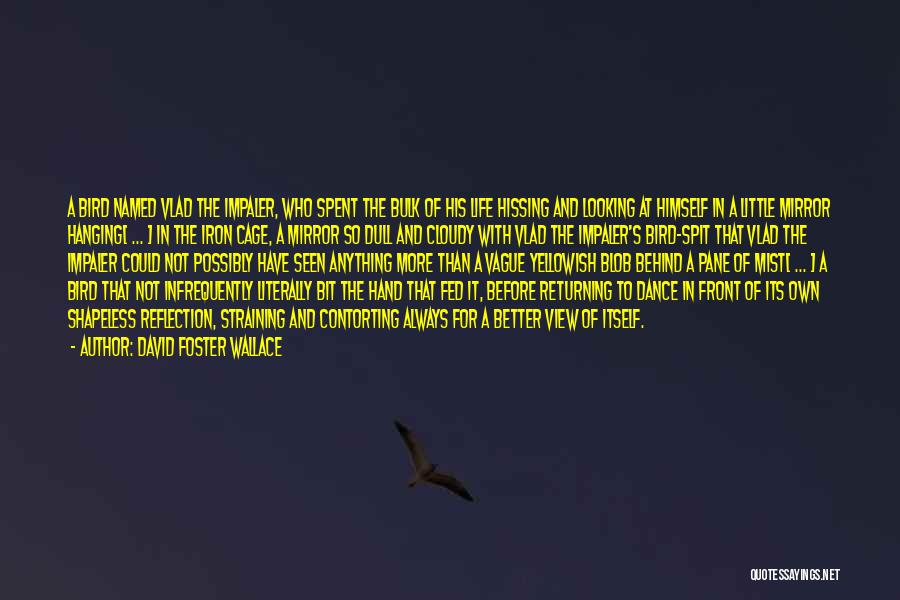 David Foster Wallace Quotes: A Bird Named Vlad The Impaler, Who Spent The Bulk Of His Life Hissing And Looking At Himself In A