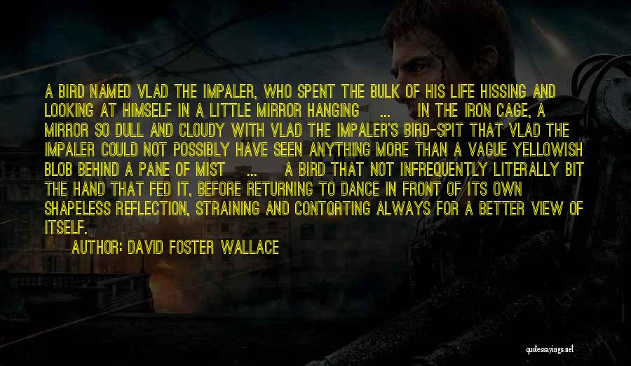 David Foster Wallace Quotes: A Bird Named Vlad The Impaler, Who Spent The Bulk Of His Life Hissing And Looking At Himself In A