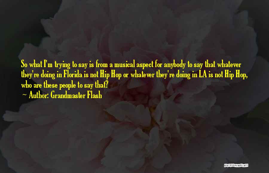 Grandmaster Flash Quotes: So What I'm Trying To Say Is From A Musical Aspect For Anybody To Say That Whatever They're Doing In