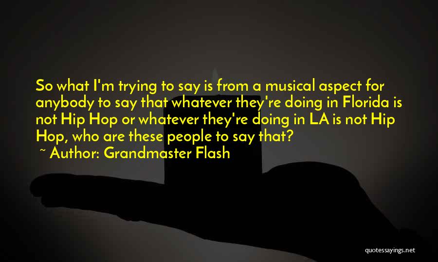 Grandmaster Flash Quotes: So What I'm Trying To Say Is From A Musical Aspect For Anybody To Say That Whatever They're Doing In