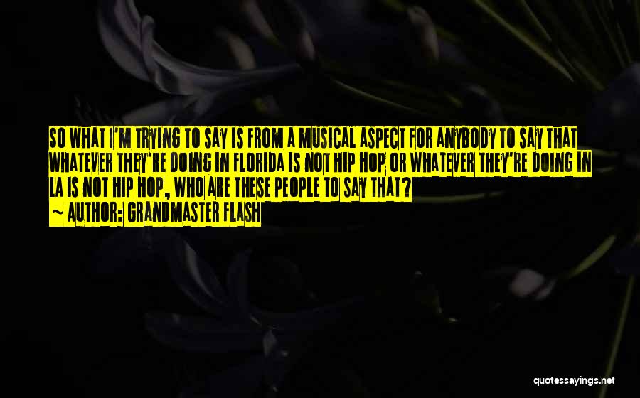 Grandmaster Flash Quotes: So What I'm Trying To Say Is From A Musical Aspect For Anybody To Say That Whatever They're Doing In