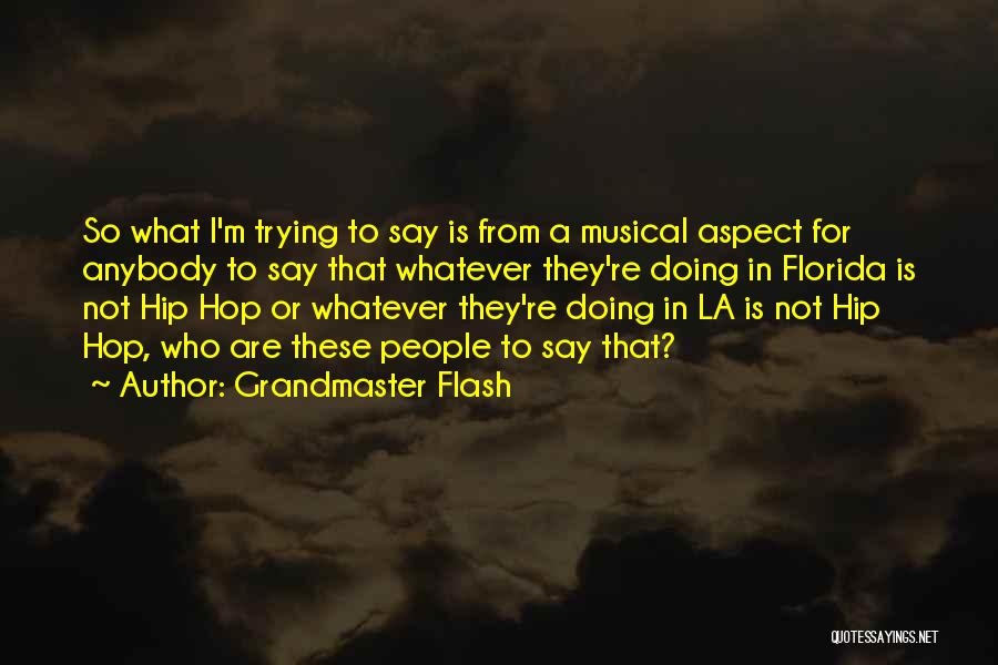 Grandmaster Flash Quotes: So What I'm Trying To Say Is From A Musical Aspect For Anybody To Say That Whatever They're Doing In