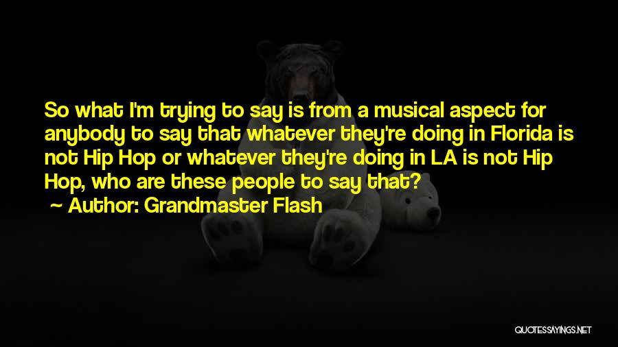 Grandmaster Flash Quotes: So What I'm Trying To Say Is From A Musical Aspect For Anybody To Say That Whatever They're Doing In