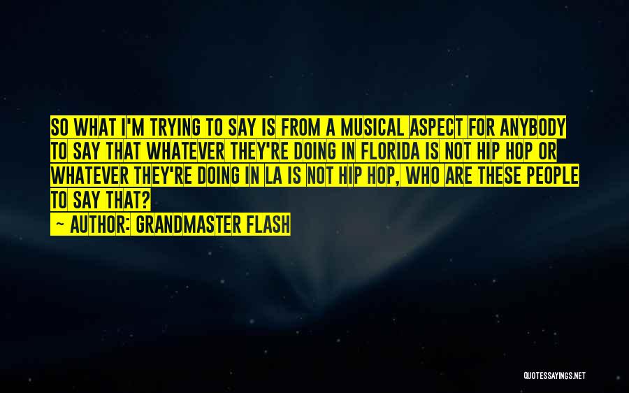 Grandmaster Flash Quotes: So What I'm Trying To Say Is From A Musical Aspect For Anybody To Say That Whatever They're Doing In