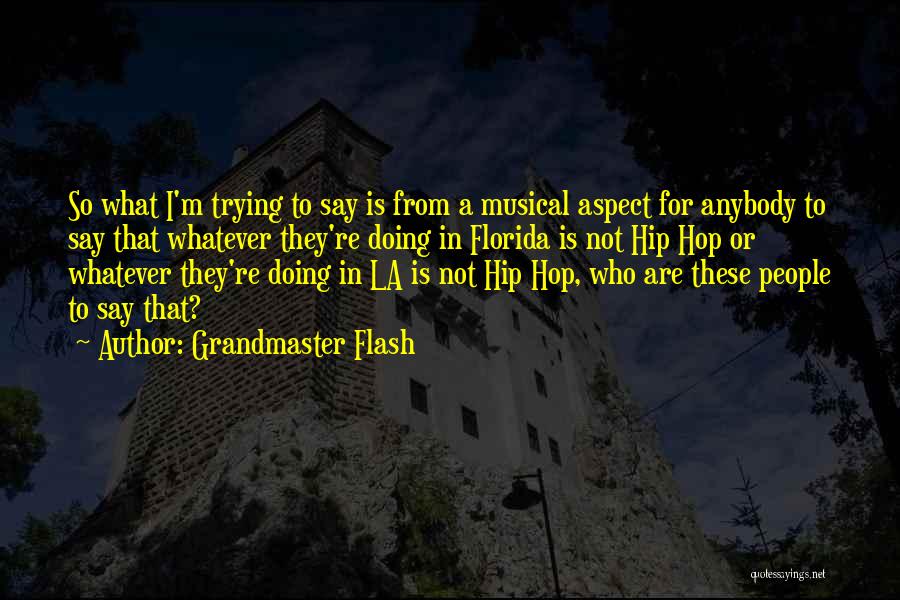 Grandmaster Flash Quotes: So What I'm Trying To Say Is From A Musical Aspect For Anybody To Say That Whatever They're Doing In