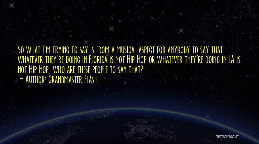 Grandmaster Flash Quotes: So What I'm Trying To Say Is From A Musical Aspect For Anybody To Say That Whatever They're Doing In