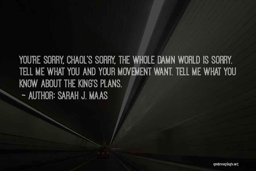 Sarah J. Maas Quotes: You're Sorry, Chaol's Sorry, The Whole Damn World Is Sorry. Tell Me What You And Your Movement Want. Tell Me