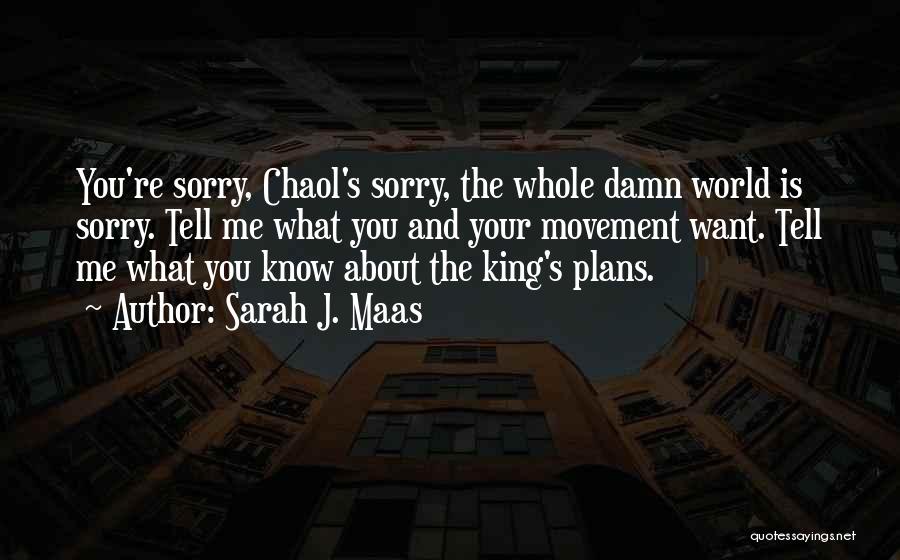 Sarah J. Maas Quotes: You're Sorry, Chaol's Sorry, The Whole Damn World Is Sorry. Tell Me What You And Your Movement Want. Tell Me