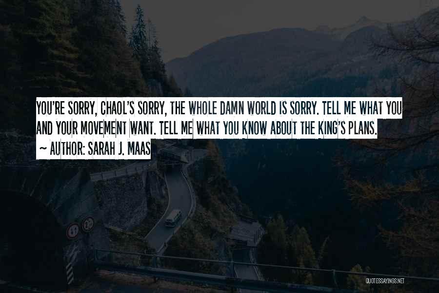 Sarah J. Maas Quotes: You're Sorry, Chaol's Sorry, The Whole Damn World Is Sorry. Tell Me What You And Your Movement Want. Tell Me