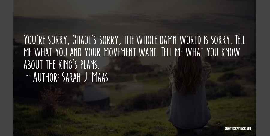 Sarah J. Maas Quotes: You're Sorry, Chaol's Sorry, The Whole Damn World Is Sorry. Tell Me What You And Your Movement Want. Tell Me