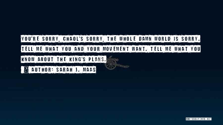 Sarah J. Maas Quotes: You're Sorry, Chaol's Sorry, The Whole Damn World Is Sorry. Tell Me What You And Your Movement Want. Tell Me