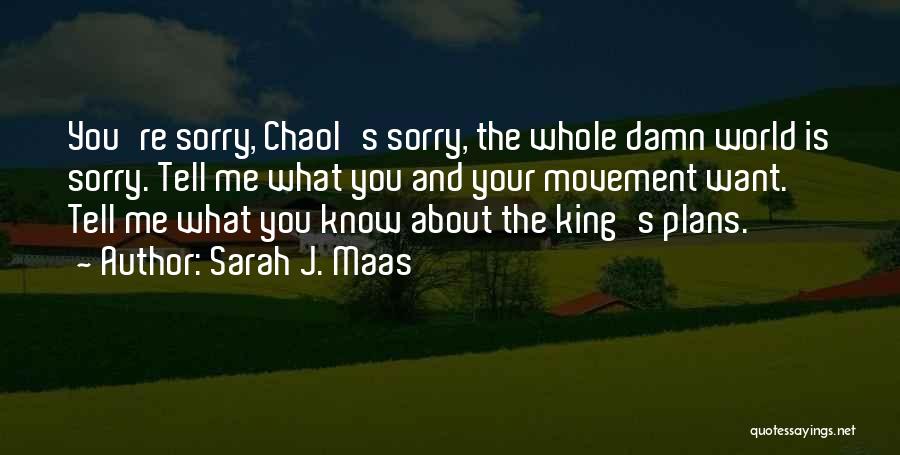 Sarah J. Maas Quotes: You're Sorry, Chaol's Sorry, The Whole Damn World Is Sorry. Tell Me What You And Your Movement Want. Tell Me