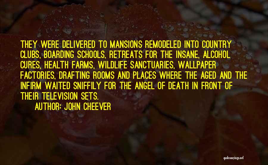 John Cheever Quotes: They Were Delivered To Mansions Remodeled Into Country Clubs, Boarding Schools, Retreats For The Insane, Alcohol Cures, Health Farms, Wildlife