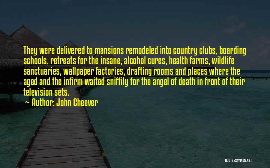 John Cheever Quotes: They Were Delivered To Mansions Remodeled Into Country Clubs, Boarding Schools, Retreats For The Insane, Alcohol Cures, Health Farms, Wildlife