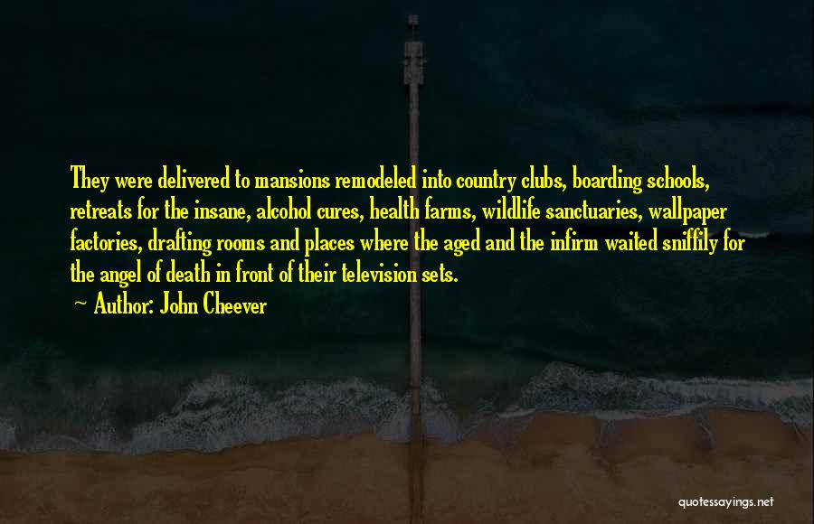 John Cheever Quotes: They Were Delivered To Mansions Remodeled Into Country Clubs, Boarding Schools, Retreats For The Insane, Alcohol Cures, Health Farms, Wildlife