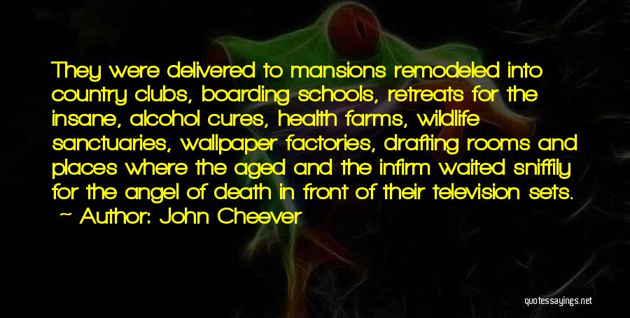 John Cheever Quotes: They Were Delivered To Mansions Remodeled Into Country Clubs, Boarding Schools, Retreats For The Insane, Alcohol Cures, Health Farms, Wildlife