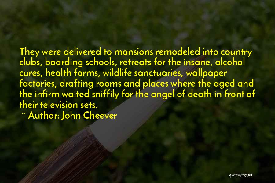 John Cheever Quotes: They Were Delivered To Mansions Remodeled Into Country Clubs, Boarding Schools, Retreats For The Insane, Alcohol Cures, Health Farms, Wildlife