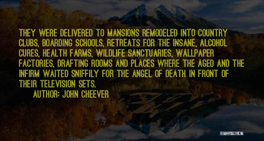 John Cheever Quotes: They Were Delivered To Mansions Remodeled Into Country Clubs, Boarding Schools, Retreats For The Insane, Alcohol Cures, Health Farms, Wildlife