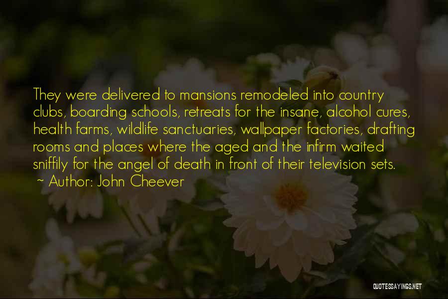 John Cheever Quotes: They Were Delivered To Mansions Remodeled Into Country Clubs, Boarding Schools, Retreats For The Insane, Alcohol Cures, Health Farms, Wildlife