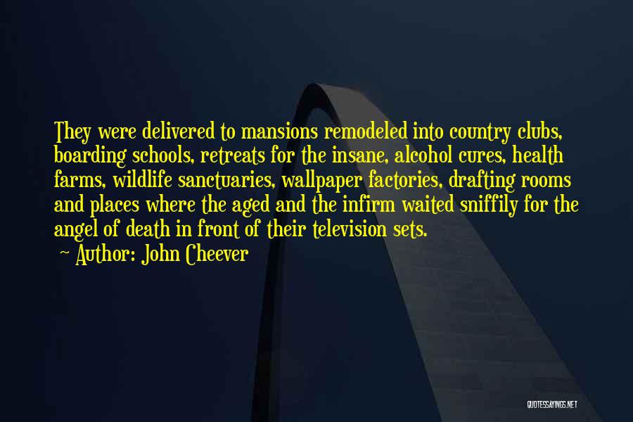John Cheever Quotes: They Were Delivered To Mansions Remodeled Into Country Clubs, Boarding Schools, Retreats For The Insane, Alcohol Cures, Health Farms, Wildlife