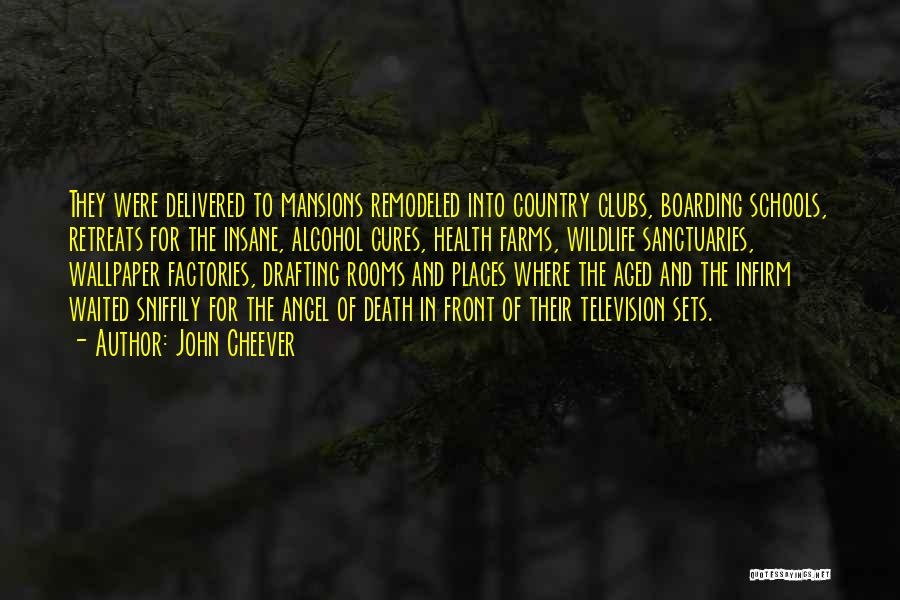 John Cheever Quotes: They Were Delivered To Mansions Remodeled Into Country Clubs, Boarding Schools, Retreats For The Insane, Alcohol Cures, Health Farms, Wildlife