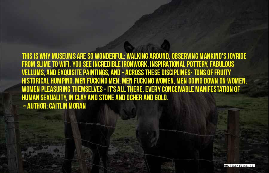 Caitlin Moran Quotes: This Is Why Museums Are So Wonderful: Walking Around, Observing Mankind's Joyride From Slime To Wifi, You See Incredible Ironwork,